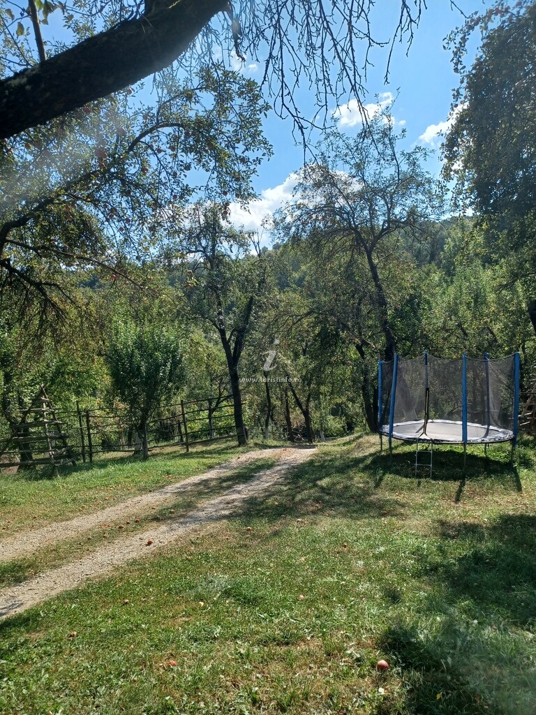 Camere de închiriat Mariana