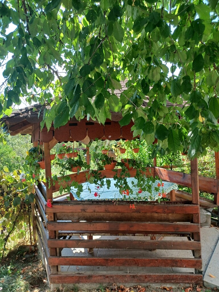 Camere de închiriat Mariana