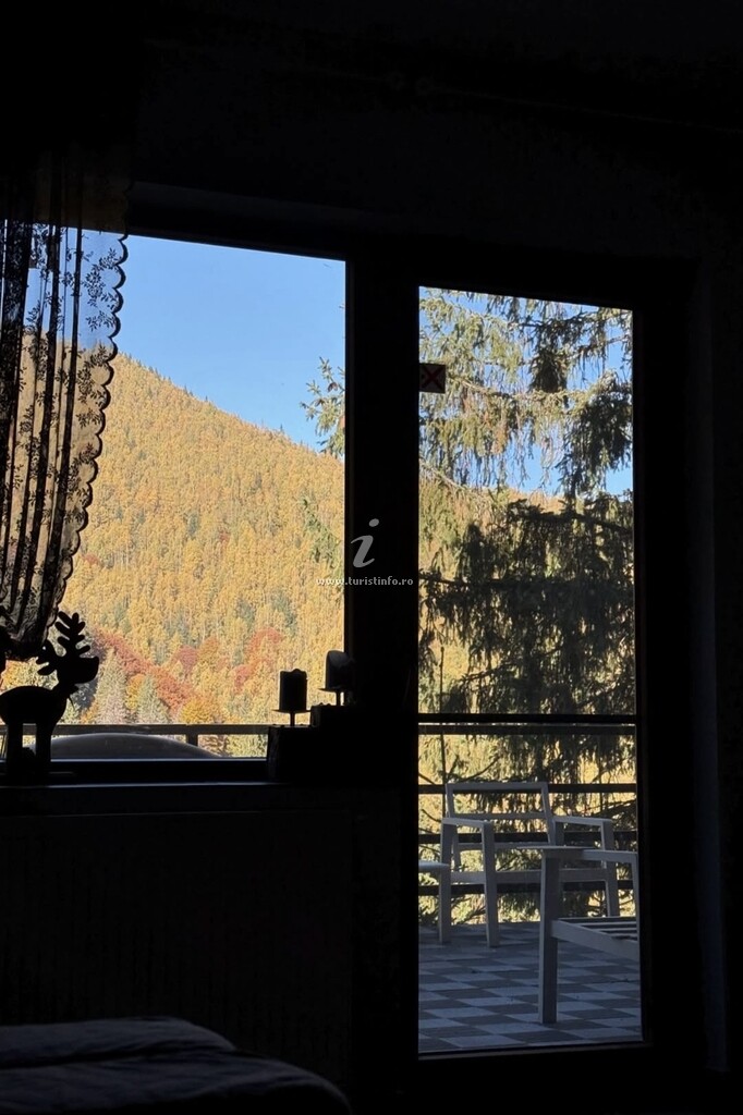 Cabana de la Munte