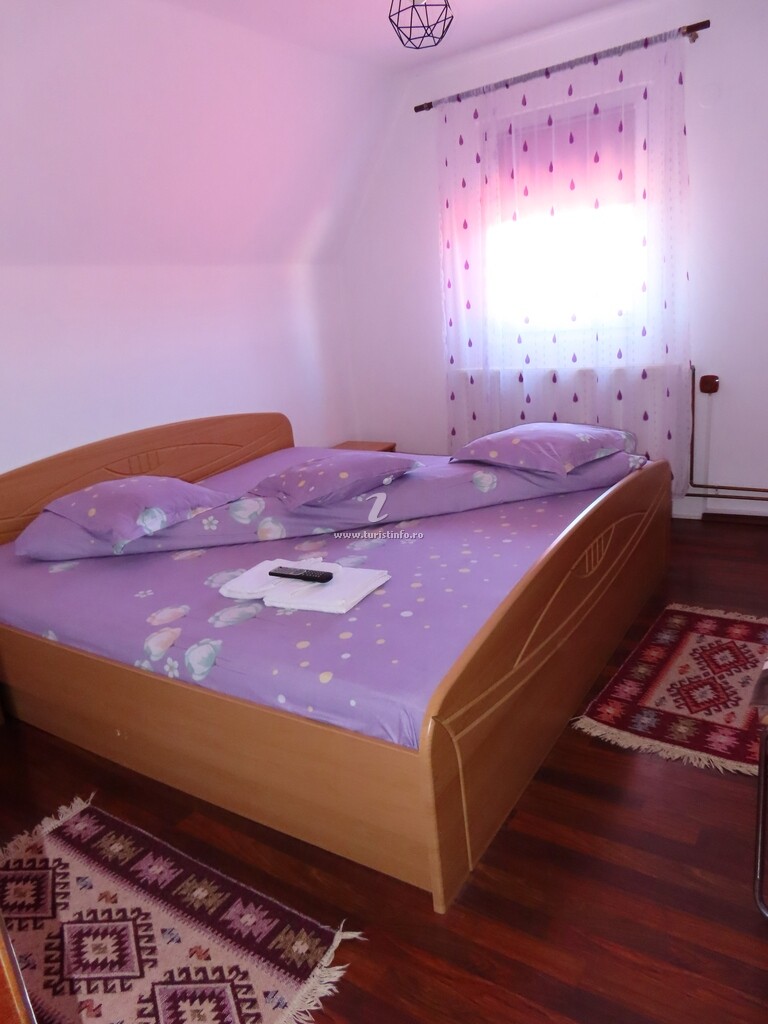 Casa Daria