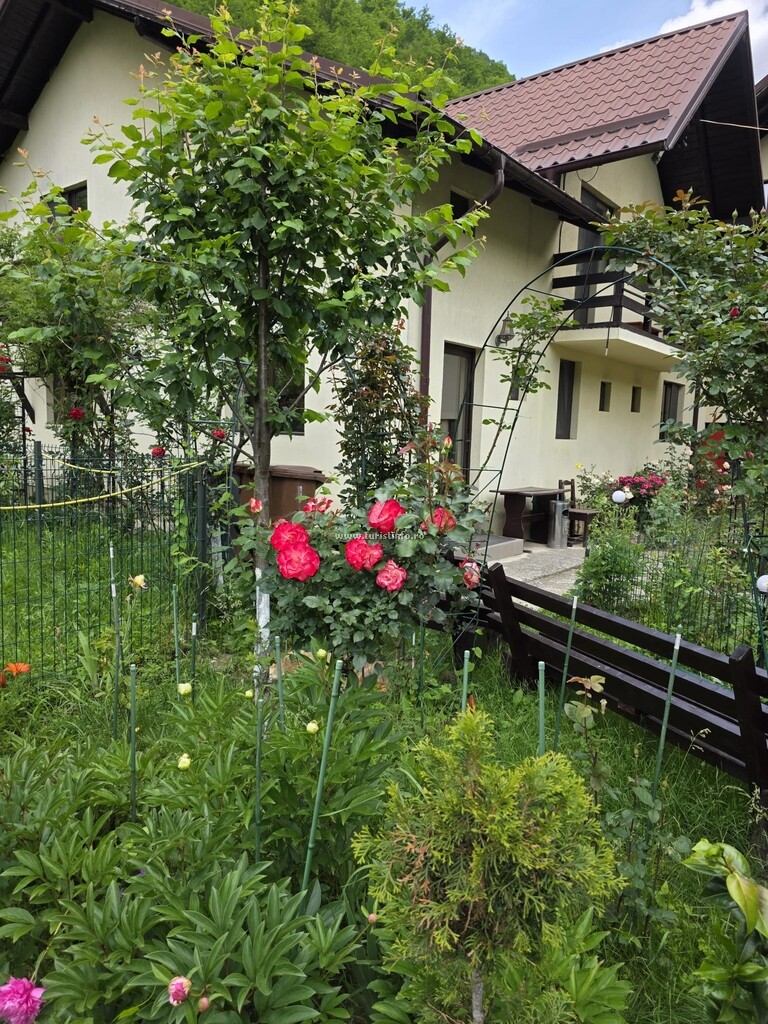 Pensiunea Ciobănelu