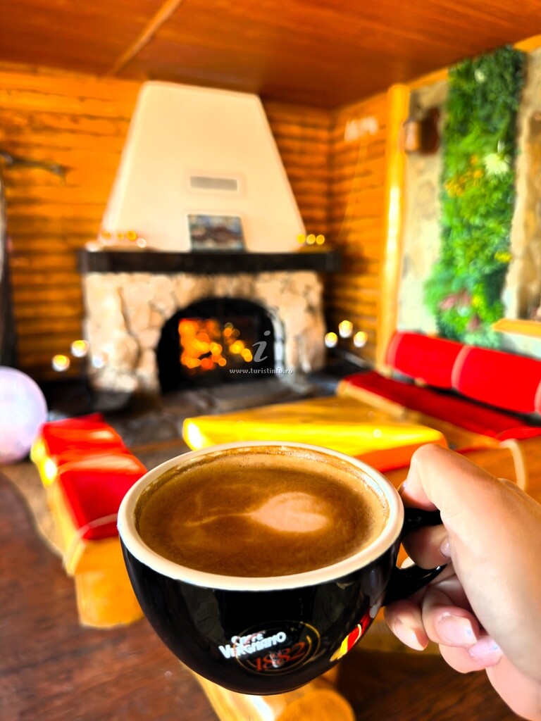 Pensiunea Alpin Spa