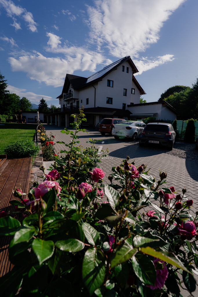 Casa de vacanță Evergreen Chalet