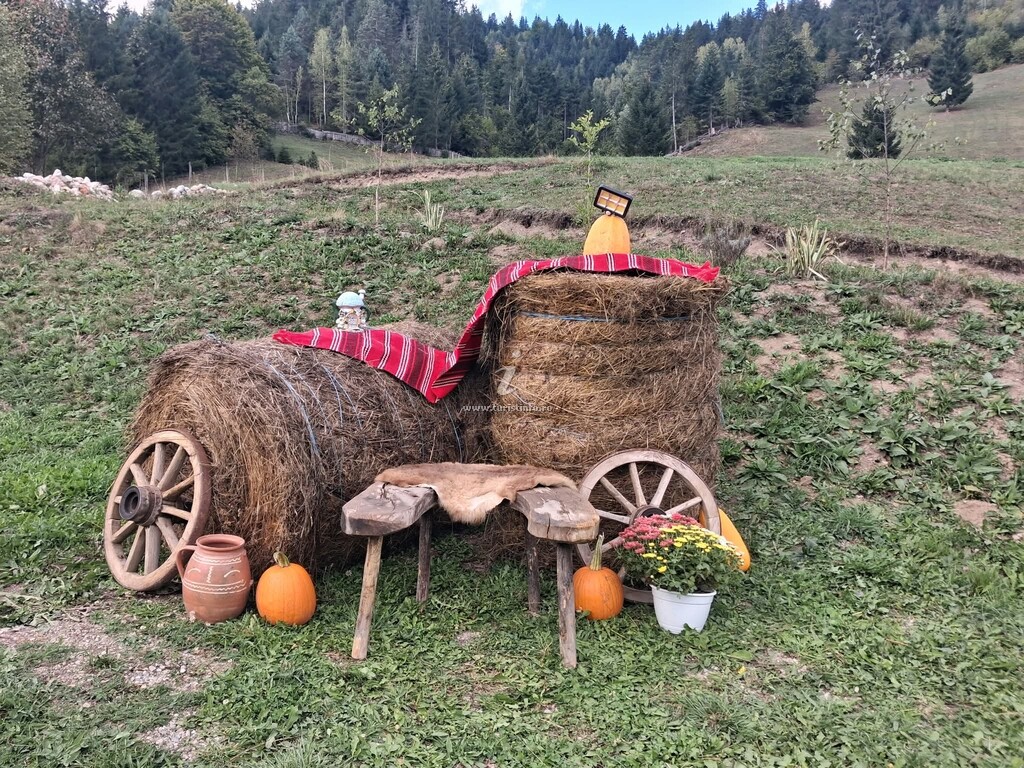 Cabana Luciana