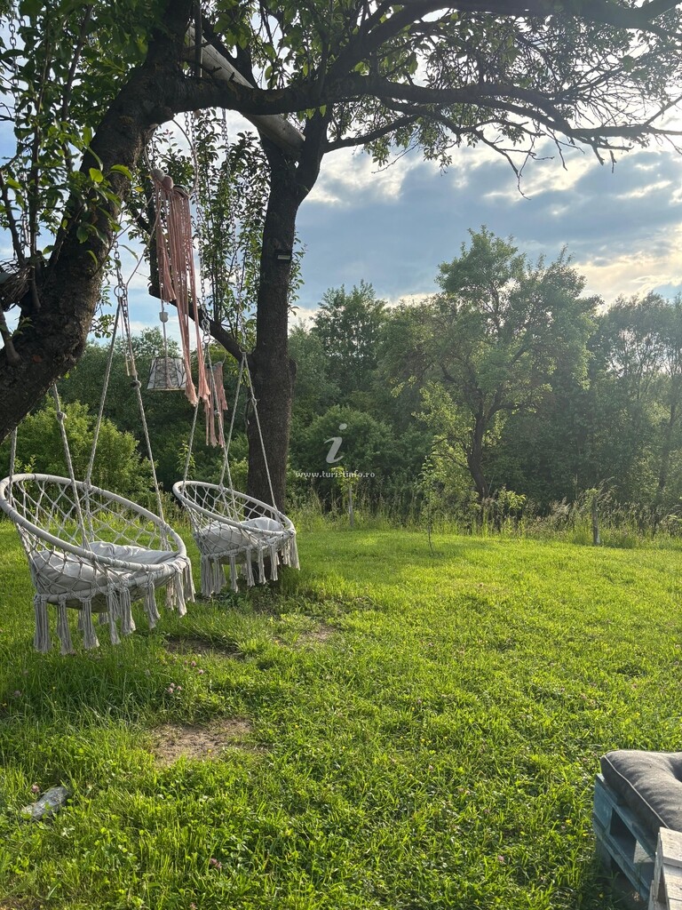 IezerVenture Cabins