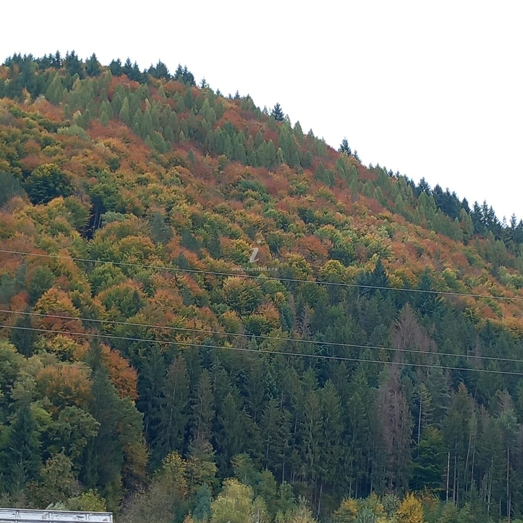 Camere de închiriat Nisiva