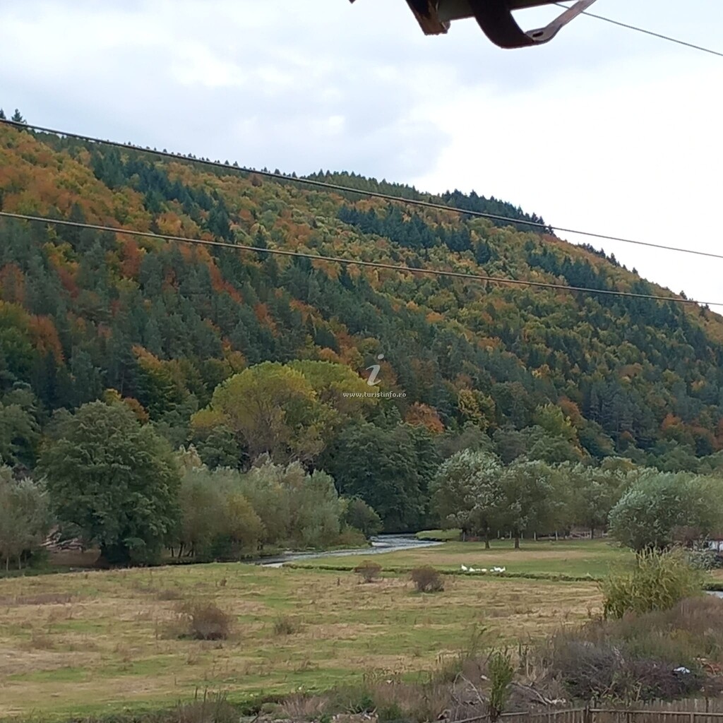Camere de închiriat Nisiva