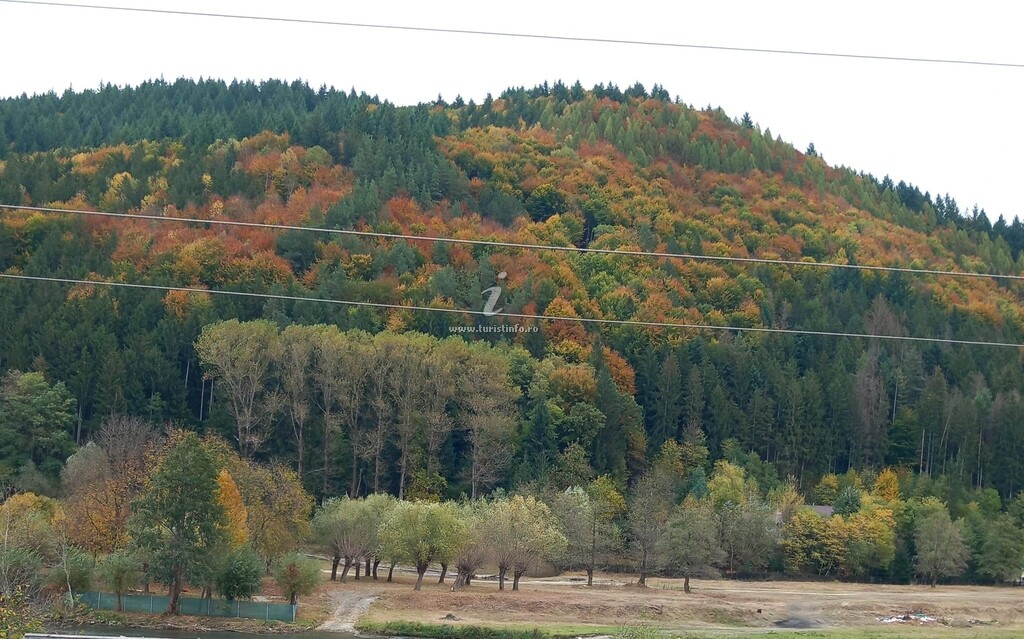 Camere de închiriat Nisiva