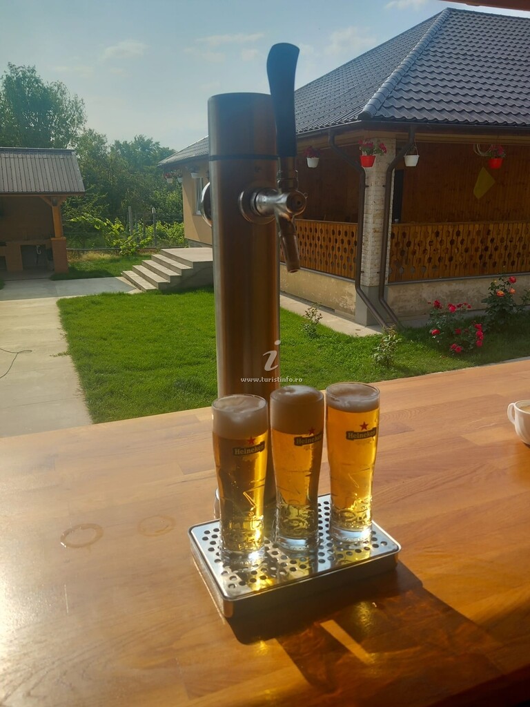 Pensiunea Dunărea