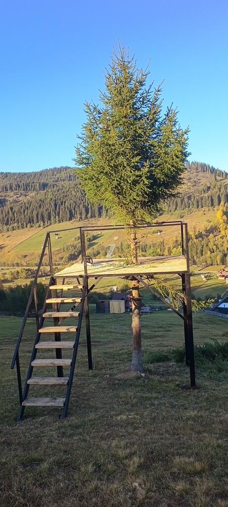 Pensiunea Bucovina Mea