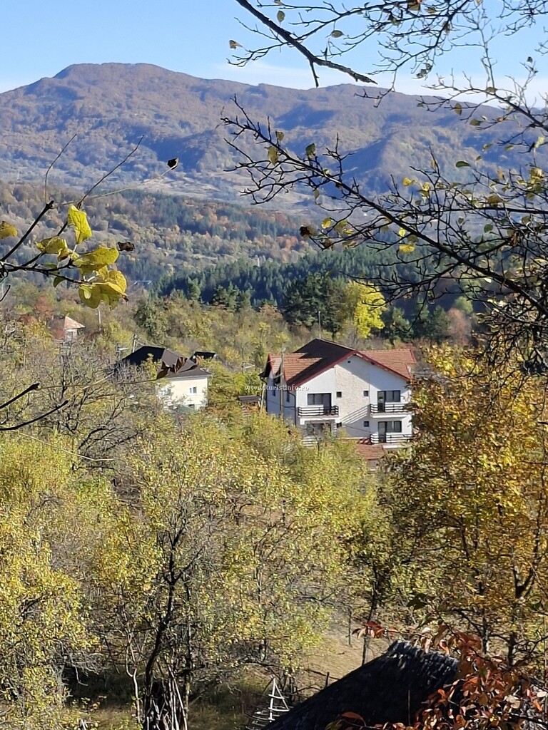 Pensiunea Agroturistică Drumul Voievozilor