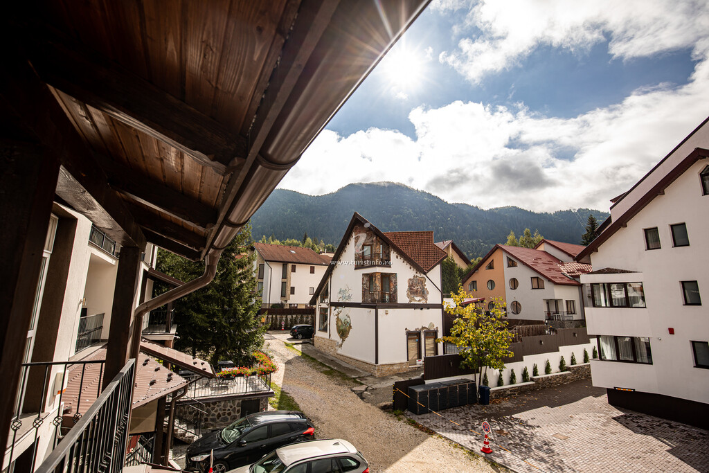 Pensiunea Monti Chalet