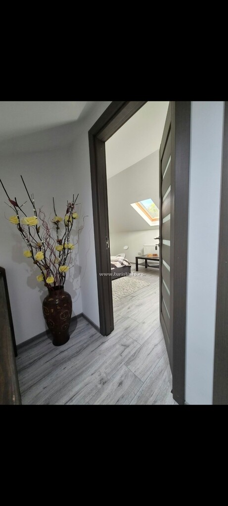 Casa de vacanță Casa Adelin
