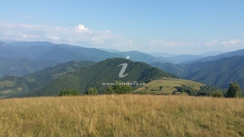 Pensiunea Radoiu Rustic