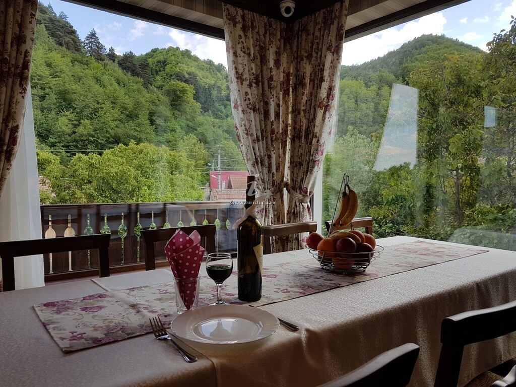 Pensiunea Radoiu Rustic