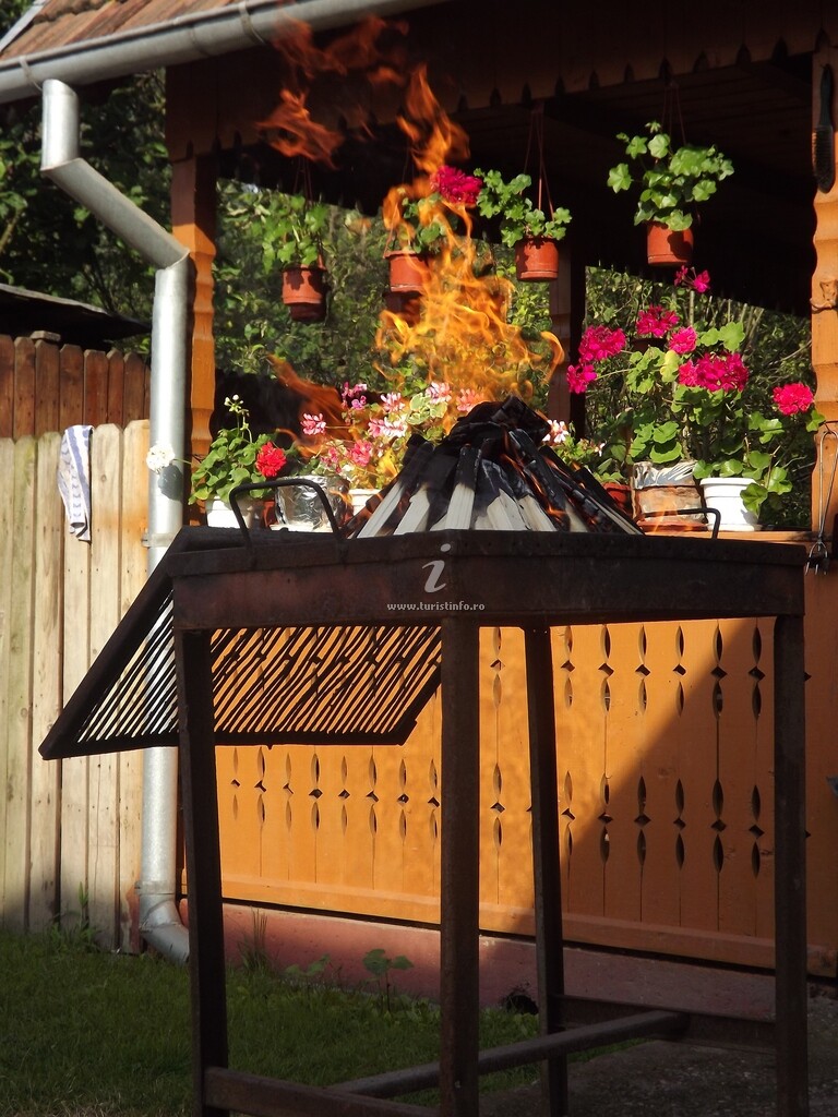 Casa de vacanță Bănuță