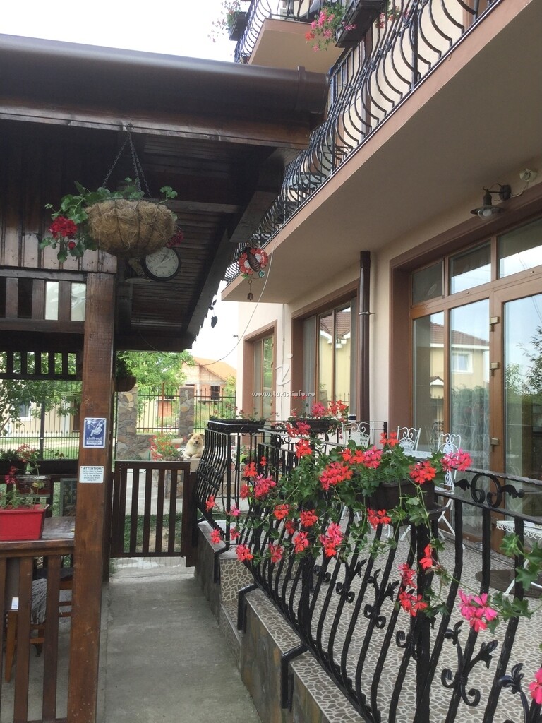 Casa Irlandeză - Irish House