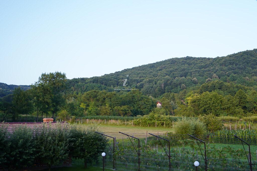 Camere de închiriat Casa Teo
