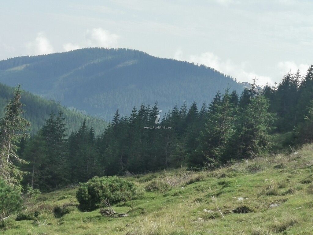 Pensiunea Edelweiss