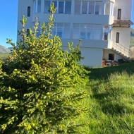 Cabana la Pas Rânca