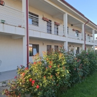 Casa Ericka Vama Veche