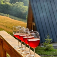 A-frame Charpatian log Cabin Dragoslavele