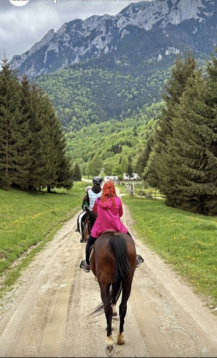 Aroa Mountain