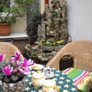 Camere de închiriat Păunașul Travel București