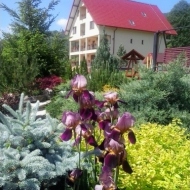 Pensiunea Agroturistică Casa Vero Vama