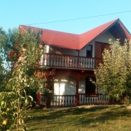 Casa Aliadi Costești