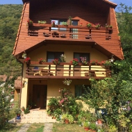 Casa de vacanță Herculane Băile Herculane