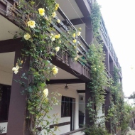 Vila Cherry Costinești